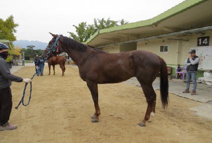 ����ġ ����