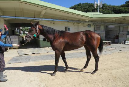 �ӷ� ����