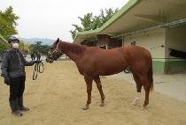 �Ŀ���� (POWER BAND) ����