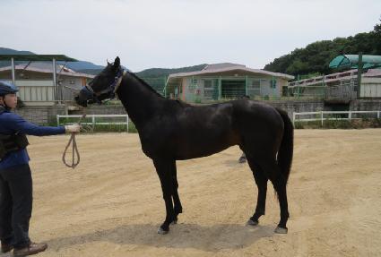 ���߽�Ÿ ����