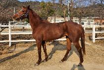 �������� (MUJEOK BIHAENG) ����