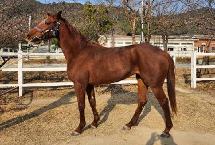 �������� ����