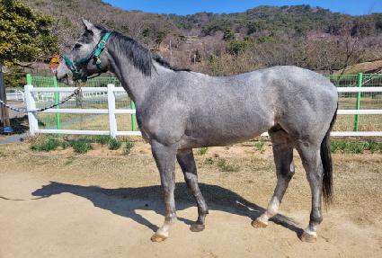 �����ǿ��� ����