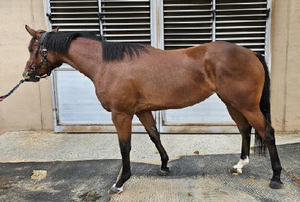 ������ī�� ����