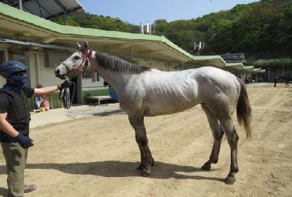 ���ĭŸī ����