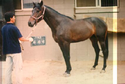 �ٶ�� ����