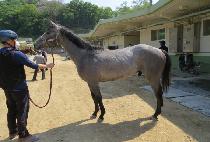 �������� (BEOLGYO BONGBONG) ����