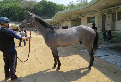 �������� ����