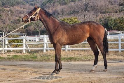 �ε��������� ����