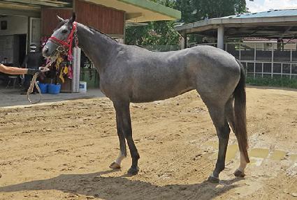 ȣ���� ����