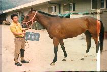 ������ (DAE HEUN JANG) ����