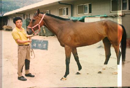 ������ ����