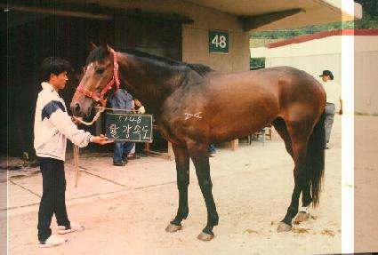 Ȱ���ӵ� ����