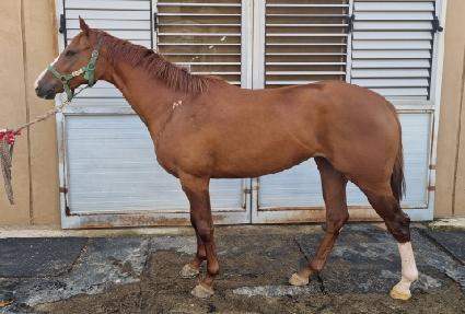 ���ĭ ����