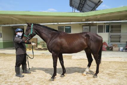 �������� ����