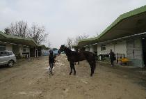 ������Ʈ�Ѽ� (EXCELLENT HANSEN) ����