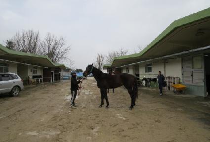 ������Ʈ�Ѽ� ����