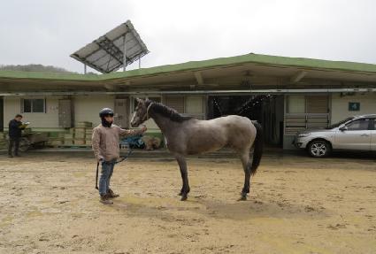 ���ʹ��� ����