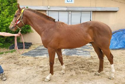 �������� ����