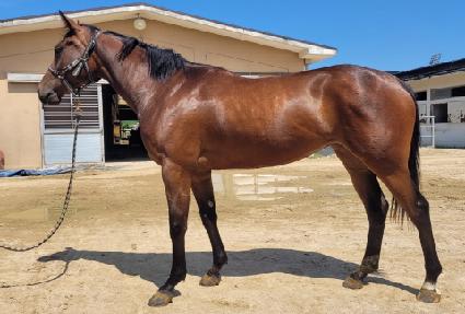 ���Ի��¾� ����