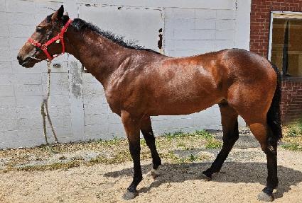 ��������Ʈ ����