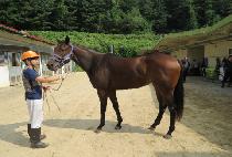 �����ǽ��� (JINJUUI SIMJANG) ����