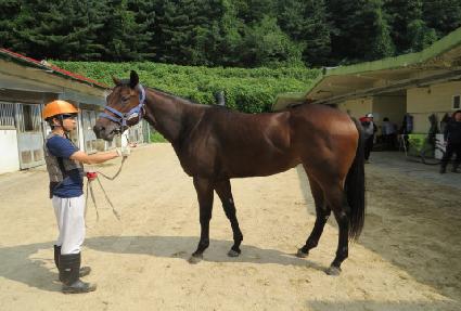 �����ǽ��� ����