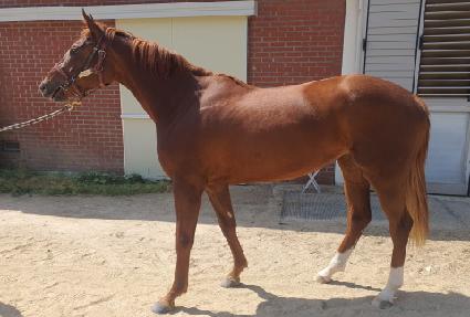 ����Ʈè�� ����