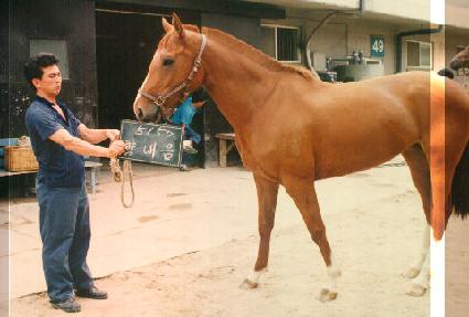 �⳻�� ����