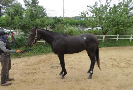 ��Ű��õ ����