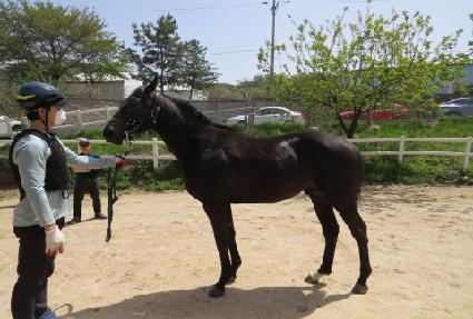 �ݾƱ½��ǵ� ����