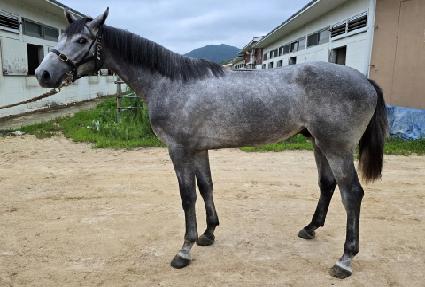 �׷���Ʈè�� ����