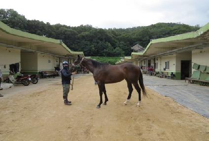 �����߿� ����