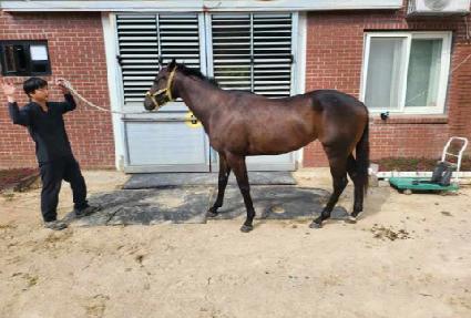 ���ǵ���� ����