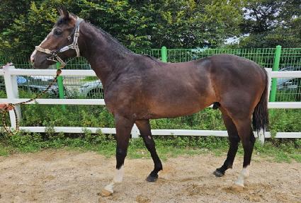 ������ȭ ����