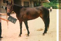 �츮�� (WOO RI BYEOL) ����