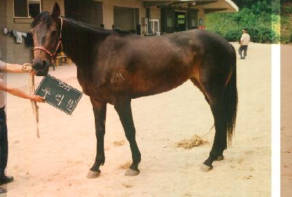 �츮�� ����