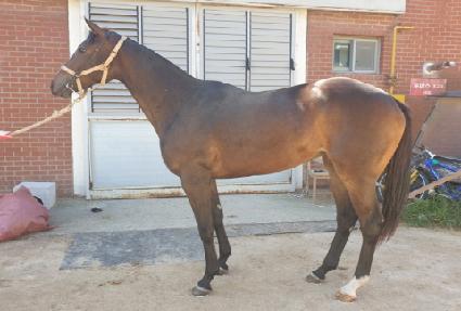 ��ȥ�ǿ��̽� ����