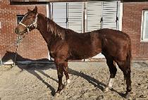 �ؿ���Ŀ� (HAEUNDAE POWER) ����