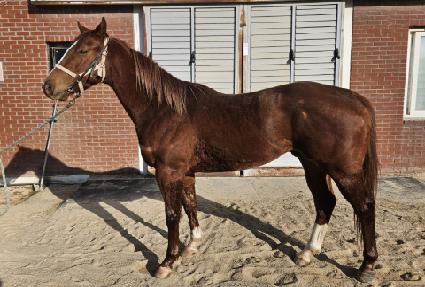 �ؿ���Ŀ� ����