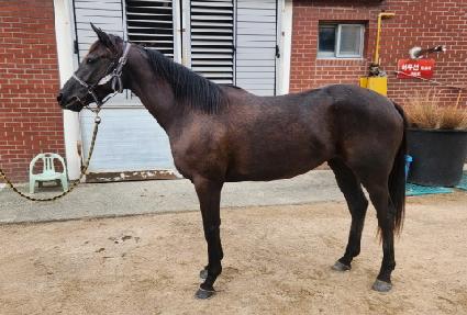 �Ŀ�ŰƼ ����