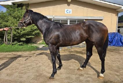 ���ǽ��� ����