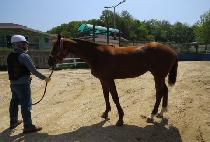 ���Ĺ��� (EUNPA MUSIC) ����