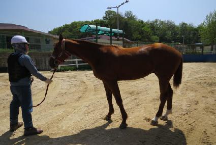 ���Ĺ��� ����