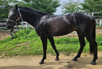 �׷���Ʈ�� ����