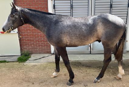 ��´�����Ŀ ����