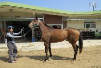 �μ����� (DUSON EUTTEUM) ����