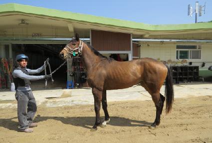 �μ����� ����