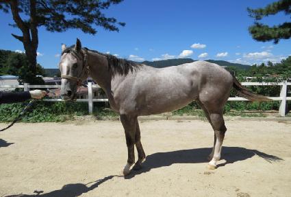 �ϴٳ��� ����