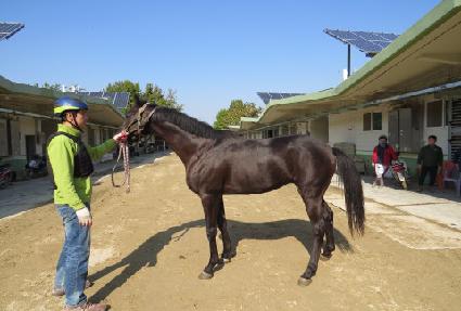 ������ ����